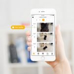 Aplikasi Hewan Peliharaan Petcube