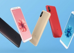 Daftar Smartphone Xiaomi Yang Sudah Bisa Jajal Android Q Beta