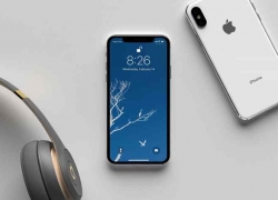 Daftar Harga iPhone Terbaru Resmi di Indonesia Februari 2019