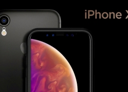 Review iPhone XR: Punya Layar 6,1 Inchi dan Chipset Apple A12