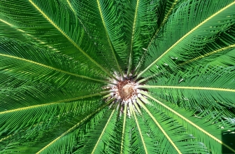 Hugo Barra Pamer Foto Xiaomi Mi 5 di Facebook