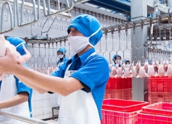Berita XL: FlexIoT untuk Digitalisasi Peternakan Ayam