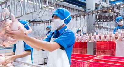 Berita XL: FlexIoT untuk Digitalisasi Peternakan Ayam