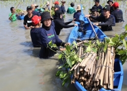 Tukar Telkomsel Poin untuk Bakau