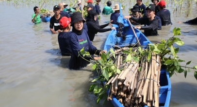 Tukar Telkomsel Poin untuk Bakau