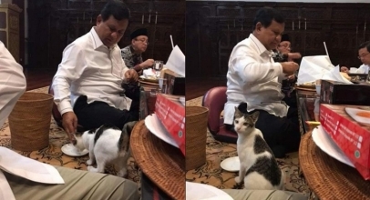 Netizen Nobatkan Kucing Prabowo Sebagai “Cat-izen” Pertama di Indonesia