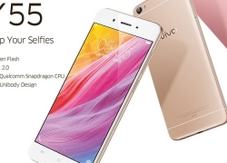 Harga Vivo Y55 Bekas (Second) Terbaru 2019