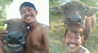 Kisah Persahabatan Antara Petani dan Kerbau Ini Viral di Sosmed