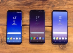 Harga Samsung Galaxy S8 Bekas (Second) Terbaru 2019