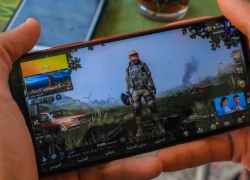 Enam Tim, Juara DGWIB Telkomsel
