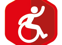 Kerjabilitas, Tawaran Kerja Penyandang Disabilitas