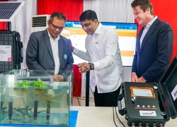 Indosat dan GSMA Gelar Teknologi Digitalisasi Konservasi Mangrove di Kalimantan Utara