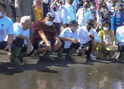IOH Luncurkan Program Konservasi Laut