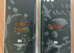Terihat Bocoran Panel Belakang Xiaomi Mi 6 Plus