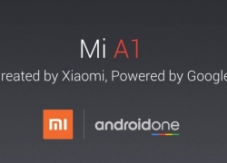 Xiaomi Mi A1 adalah Smartphone Andalan Android One