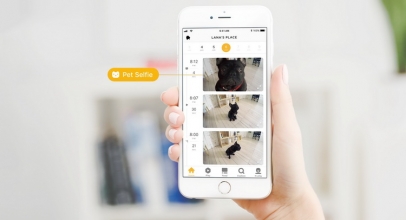 CES 2018: Petcube Mungkinkan Anjing Selfie dan Menelpon Pemiliknya