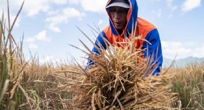 Indico Berkolaborasi Tingkatkan Produksi Pertanian di Wonogoro