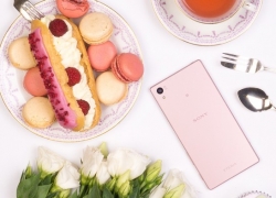 Cantiknya Sony Xperia Z5 Pink yang Baru