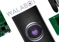 Yuk, Intip Ada Apa DiBalik Tembok dengan Walabot