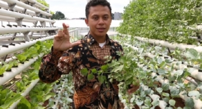 XL Smart Hydroponics untuk Urban Farming