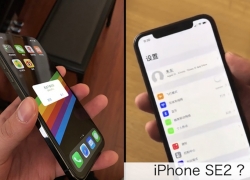 iPhone SE 2 Bakal Usung Layar Bezel-Less dan Face ID Ala iPhone X