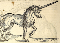 Tak Hanya Unicorn, Ini 4 Makhluk Mitos Yang Pernah Dikuak Sains