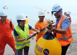 Proyek SKKL Rampung, XL Axiata Pastikan Perkuat Jaringan Data