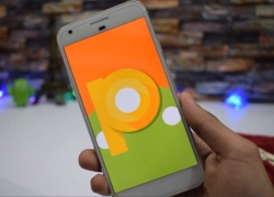 Google Bakal Luncurkan Android P di Pertengahan Maret 2018