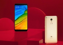 Di Erafone, Harga Xiaomi Redmi 5 dan Redmi 5 Plus Lebih Mahal
