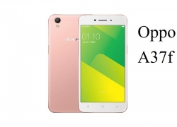 Harga Oppo A37F Bekas (Second) Terbaru 2019