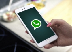 Pengguna iOS Mulai Cicipi WhatsApp Business