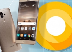 Huawei Mate 9 Unlock dapatkan Update OS Android Oreo 8.0