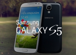 12 Cara Bikin Samsung Galaxy S5 Tetap Prima