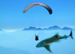 Bikin Foto “Up and Up” a la Video Clip Coldplay