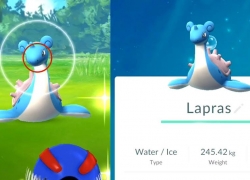 Lelaki 67 Tahun Meninggal Setelah Menangkap Pokemon Langka