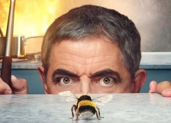 Netflix Film Club; Man VS Bee, “Mr Bean” VS Bee
