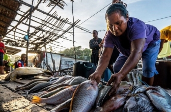 Pertemuan W20 Digelar di Manokwari