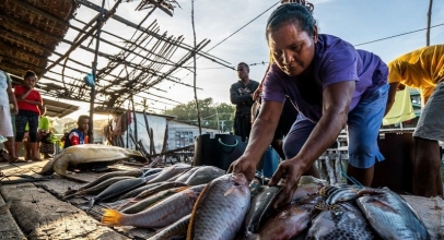 Pertemuan W20 Digelar di Manokwari