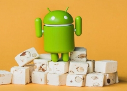 Android Nougat Masih Tertinggi, Oreo Belum Seberapa