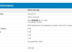 Oppo F3 akan Pakai RAM 4 GB dan Layar 5,5 inch