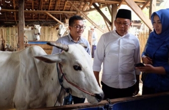 XL Axiata Bangun Solusi Digital Satwa Nusantara untuk Peternak Sapi di Situbondo