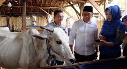 XL Axiata Bangun Solusi Digital Inovatif Satwa Nusantara