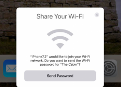 Mudahnya Bagi Password Ribet di iOS 11