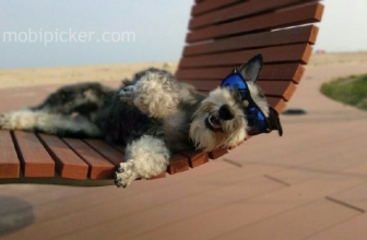 Ini Dia Hasil Foto Xiaomi Redmi Pro