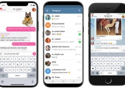 Telegram Tambahkan Dukungan Tiga Akun, Theme dan Balasan Cepat