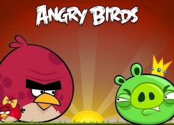 Angry Birds Story; Telah Beranak Banyak