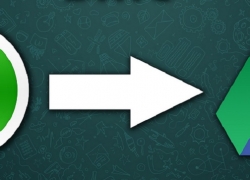 5 Langkah Back Up Data WhatsApp di Google Drive