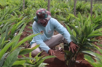 Erajaya Peduli Bangsa Angkat Petani