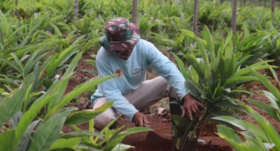 Erajaya Peduli Bangsa Angkat Petani
