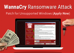 Ini Dia, 3 Langkah Praktis Hindari Virus Wannacry